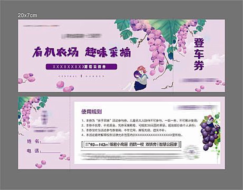 葡萄采摘的乐趣：一张门票背后的甜蜜故事